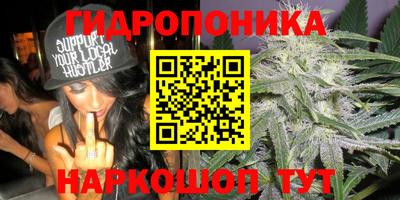 мяу мяу мука Северобайкальск