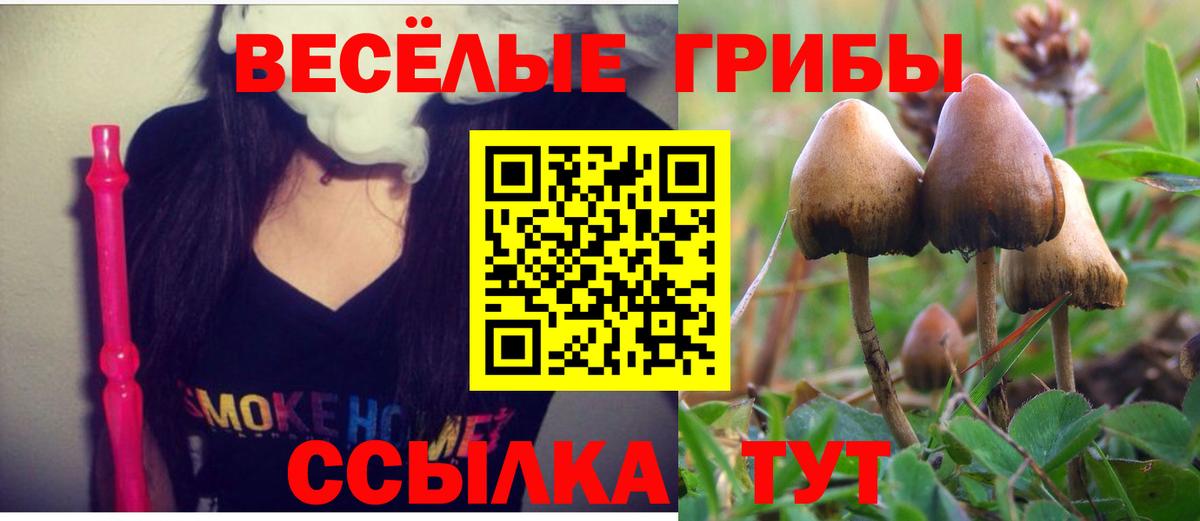 Псилоцибиновые грибы Magic Shrooms  Вход с VPN  Галлюциногенные грибы Psilocybine cubensis  Россошь 