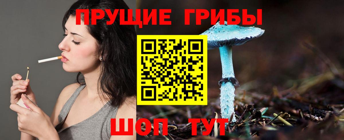 Галлюциногенные грибы MAGIC MUSHROOMS Россошь