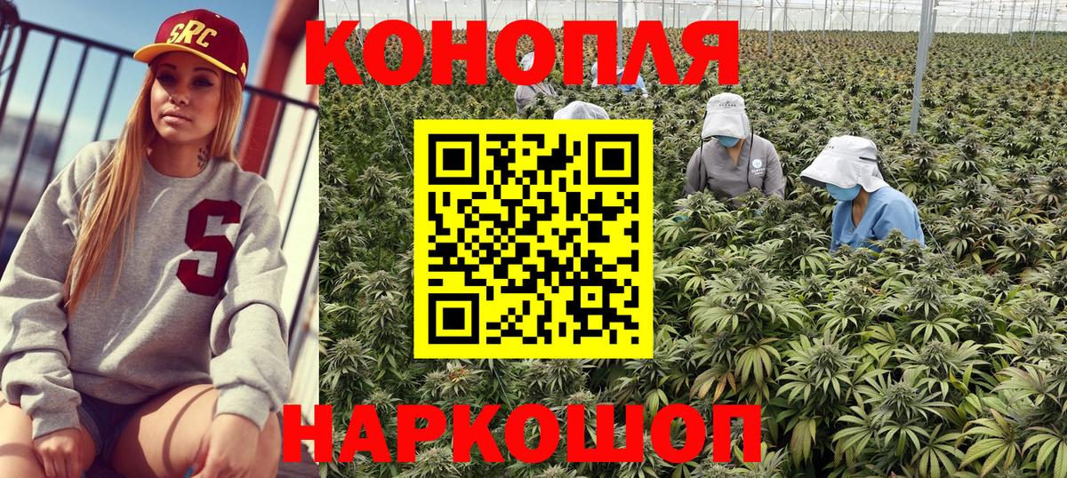 Бошки марихуана тримм Россошь